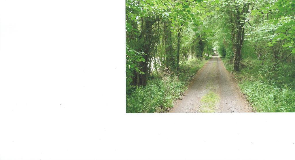 Brynhonddu Country House B&B Abergavenny Ngoại thất bức ảnh