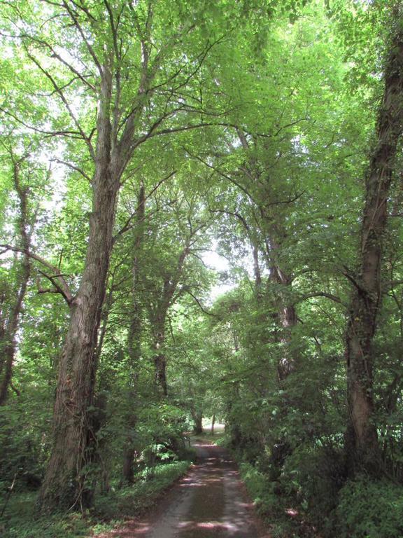 Brynhonddu Country House B&B Abergavenny Ngoại thất bức ảnh